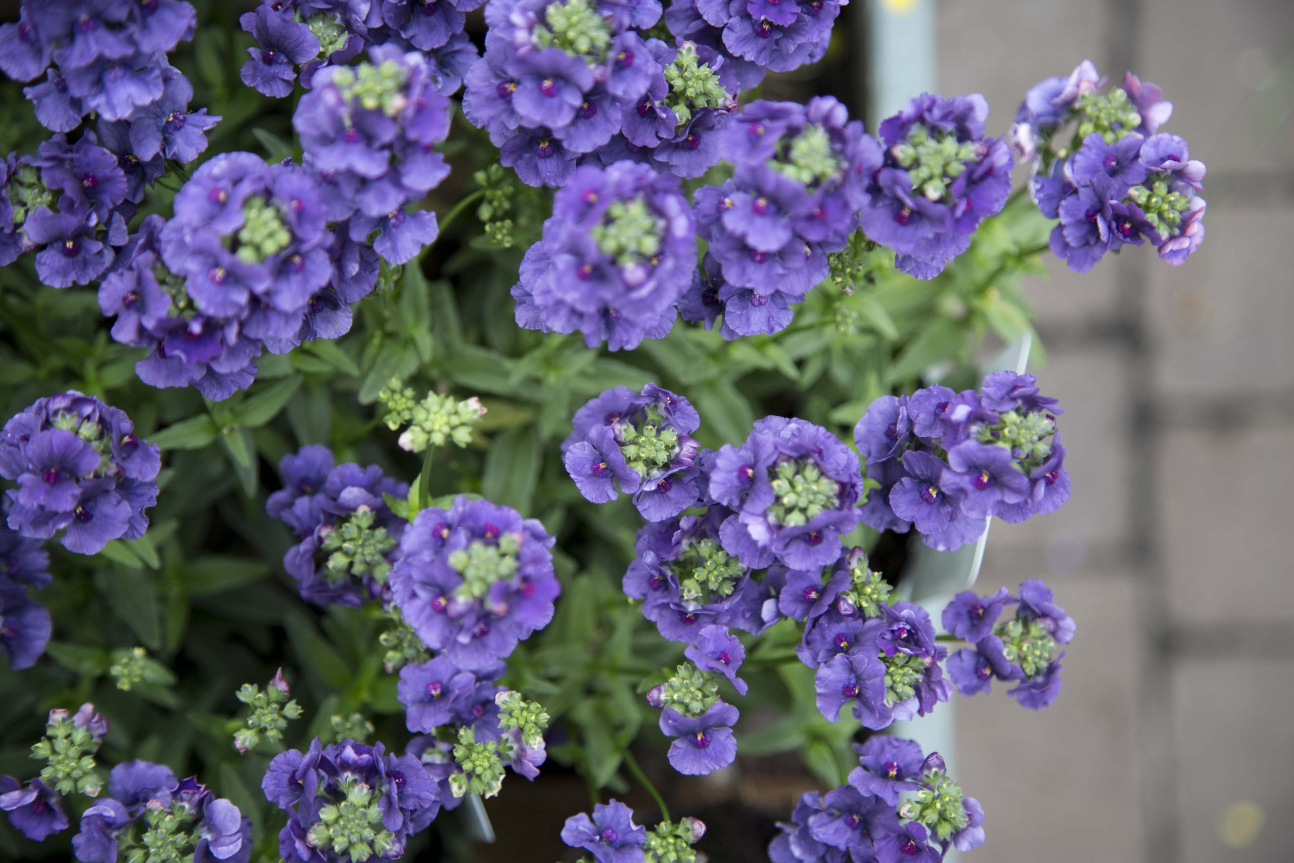 Start a Reservation visual data 7