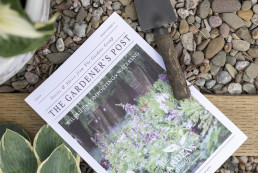 The Gardener's Post, spring summer edition, sat on pebbled stairs